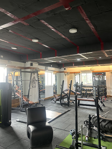 Treadmills and cardio area.